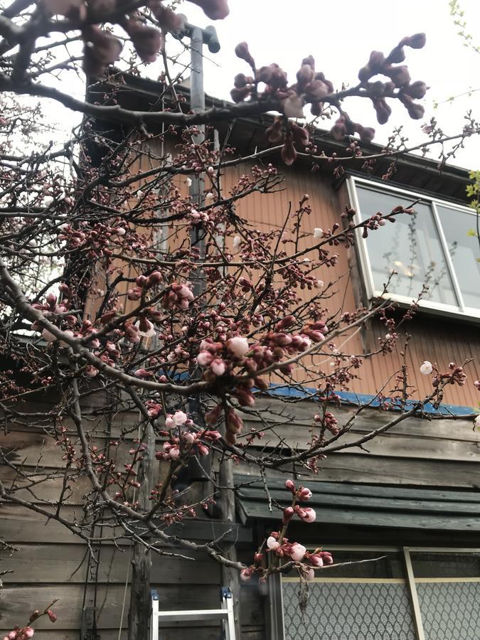 Shabby House Hotel Sapporo Exterior foto